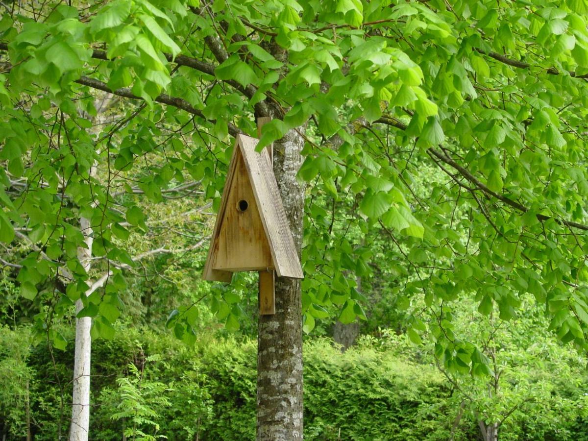 Ferienwohnung Geismayr Dornbirn Exteriör bild